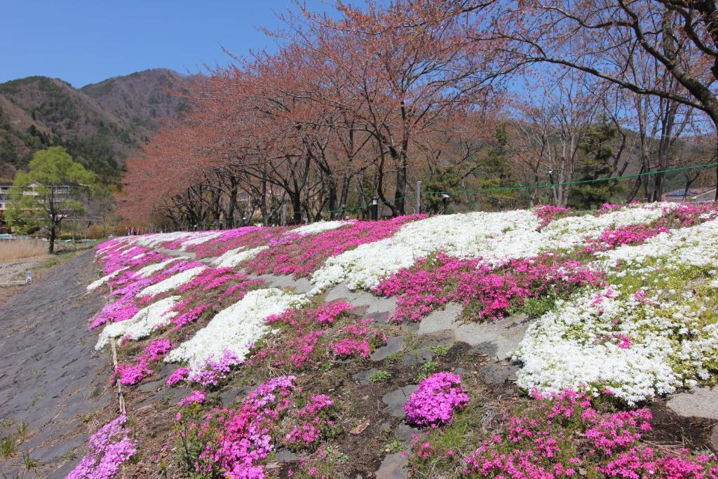 Ururun Kawaguchiko Villa *