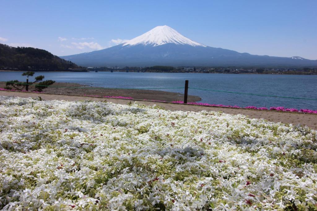 Villa Ururun Kawaguchiko Fujikawaguchiko